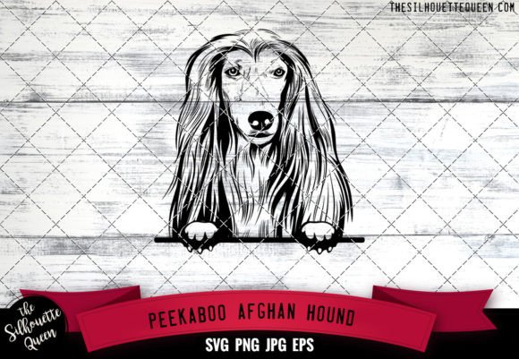 Afghan Hound Peekaboo Dog Face