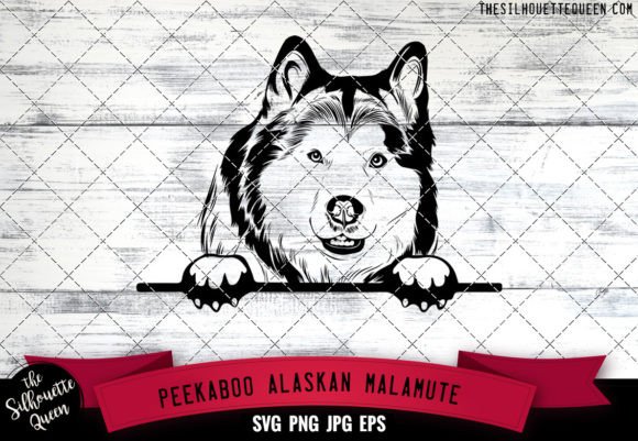 Alaskan Malamute Peekaboo Dog Face