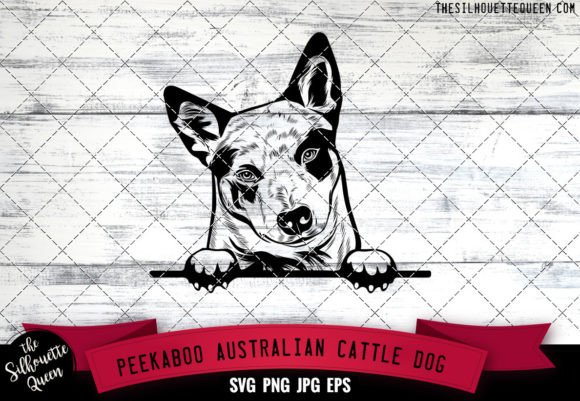 Australian Cattle Peekaboo Dog Face