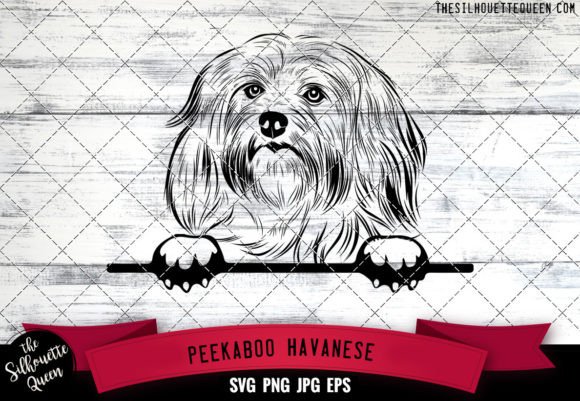 Havanese Peekaboo Dog Face