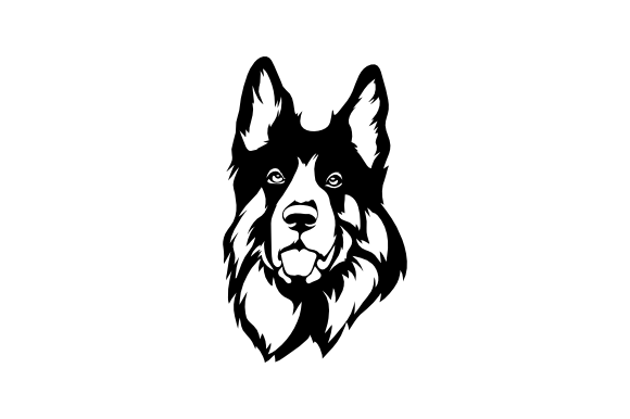 Old German Shepherd Dog