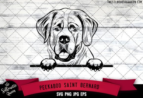 Saint Bernard Peekaboo Dog Face