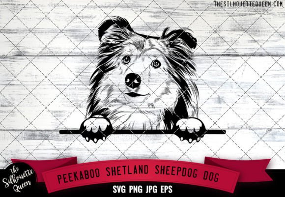 Shetland Sheepdog Peekaboo Dog Face